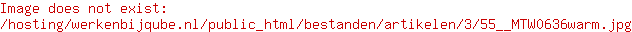 Software consultant