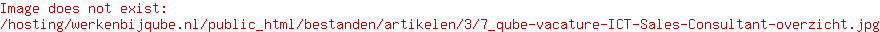 ICT Sales Consultant