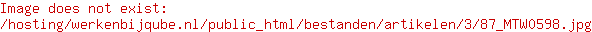 Senior Software consultant