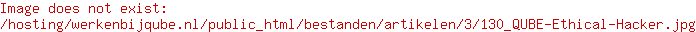 Ethical hacker / Security consultant