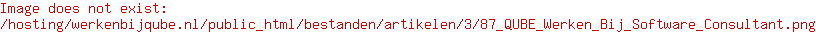 Senior Software consultant