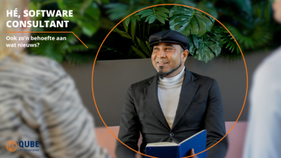 Senior Software consultant