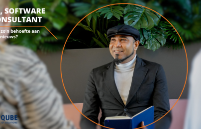 Senior Software consultant