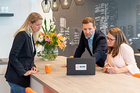 Sales consultant