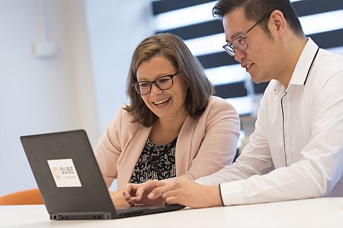 Senior Software consultant